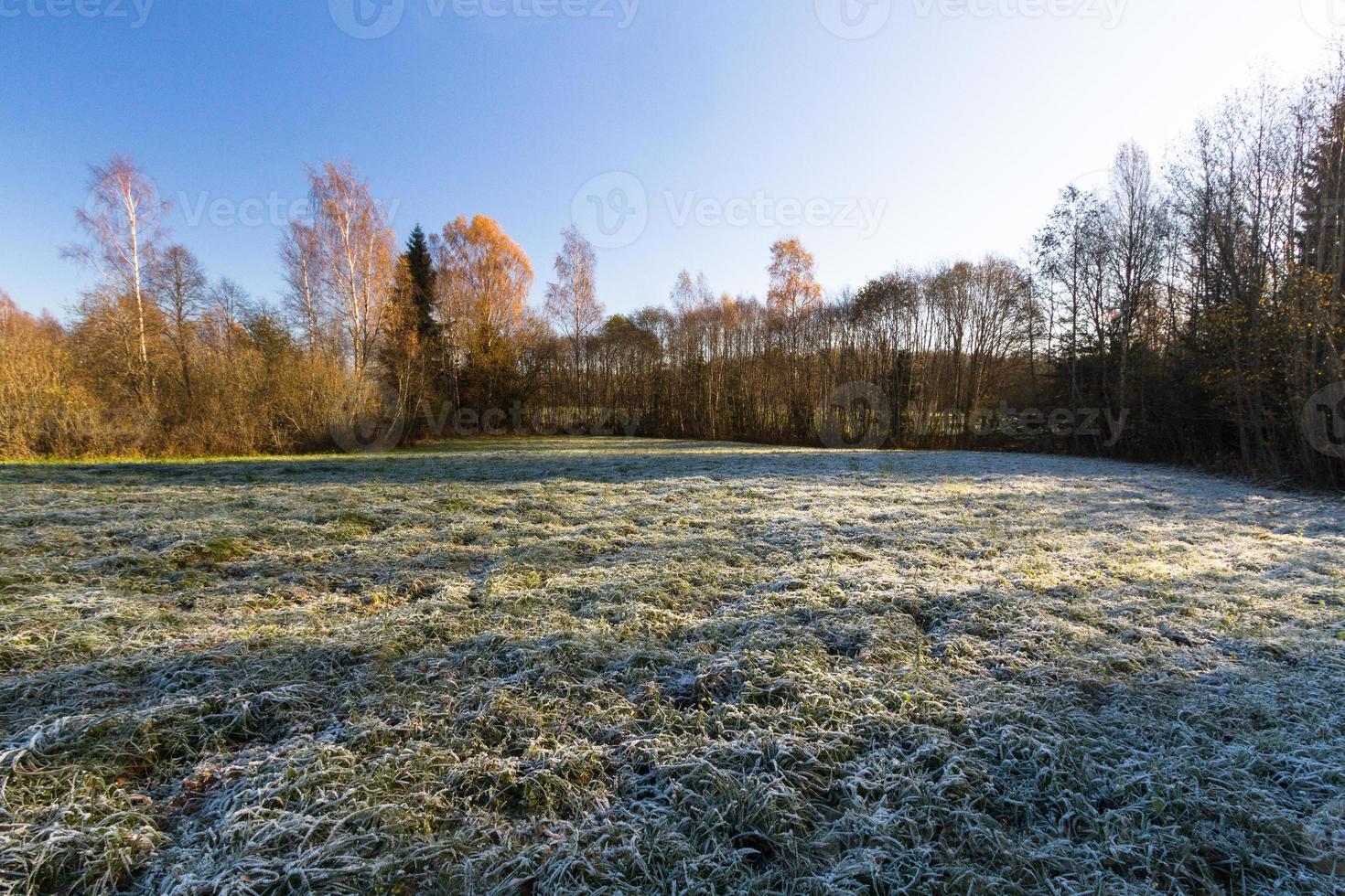 Autumn Landscape With Yellow Leaves on a Sunny Day photo