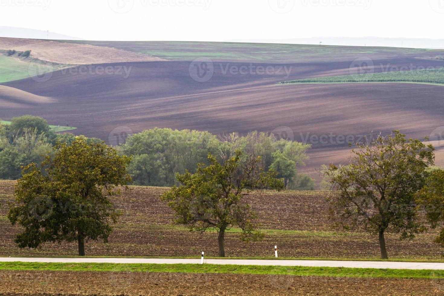 Autumn Landscape  in a Moravian Fields photo