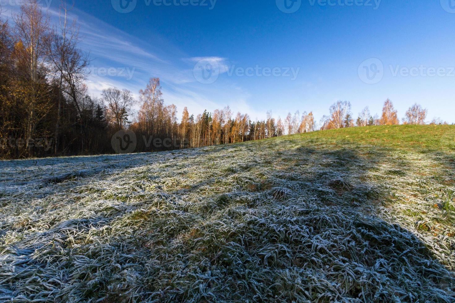 Autumn Landscape With Yellow Leaves on a Sunny Day photo