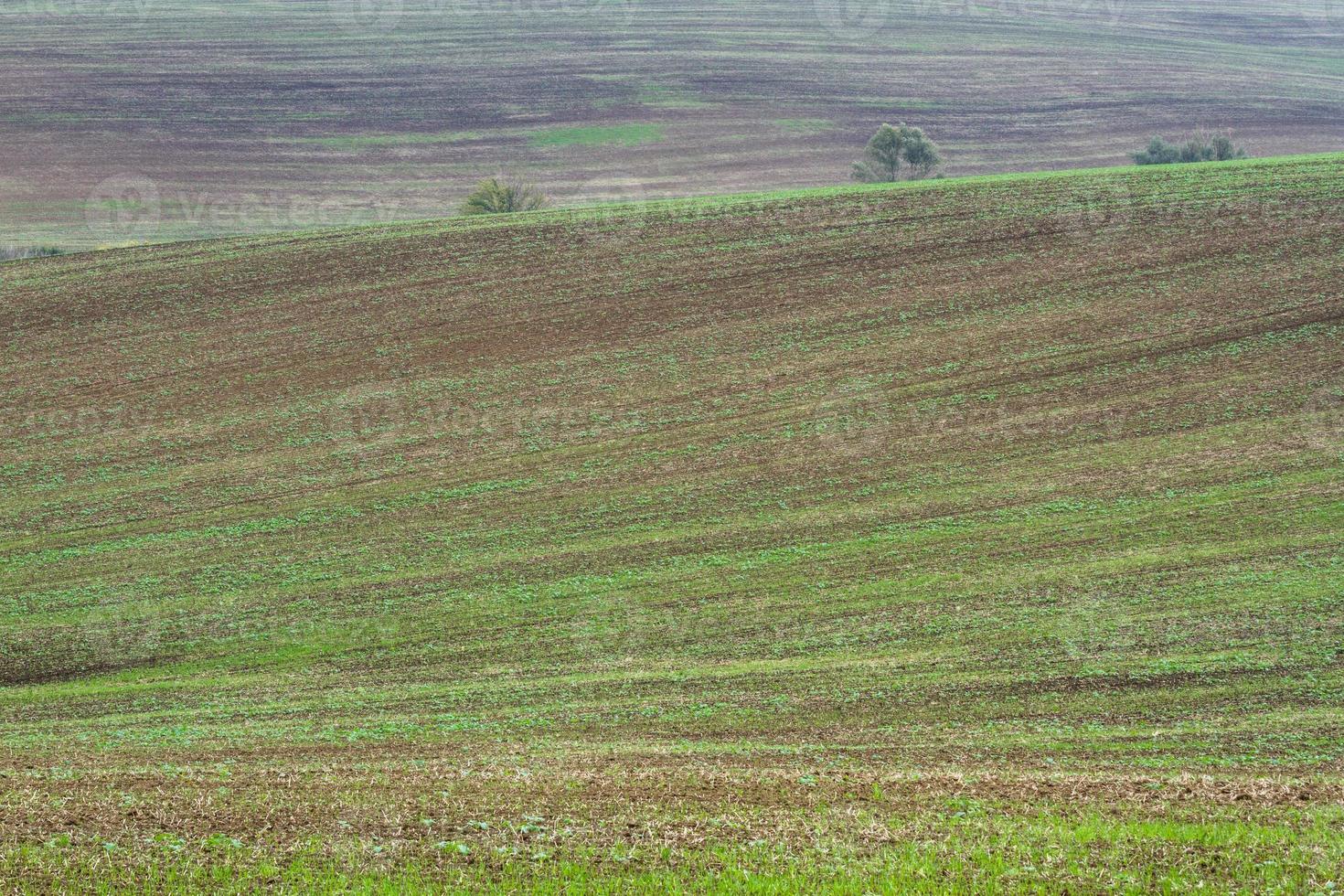 Autumn Landscape  in a Moravian Fields photo