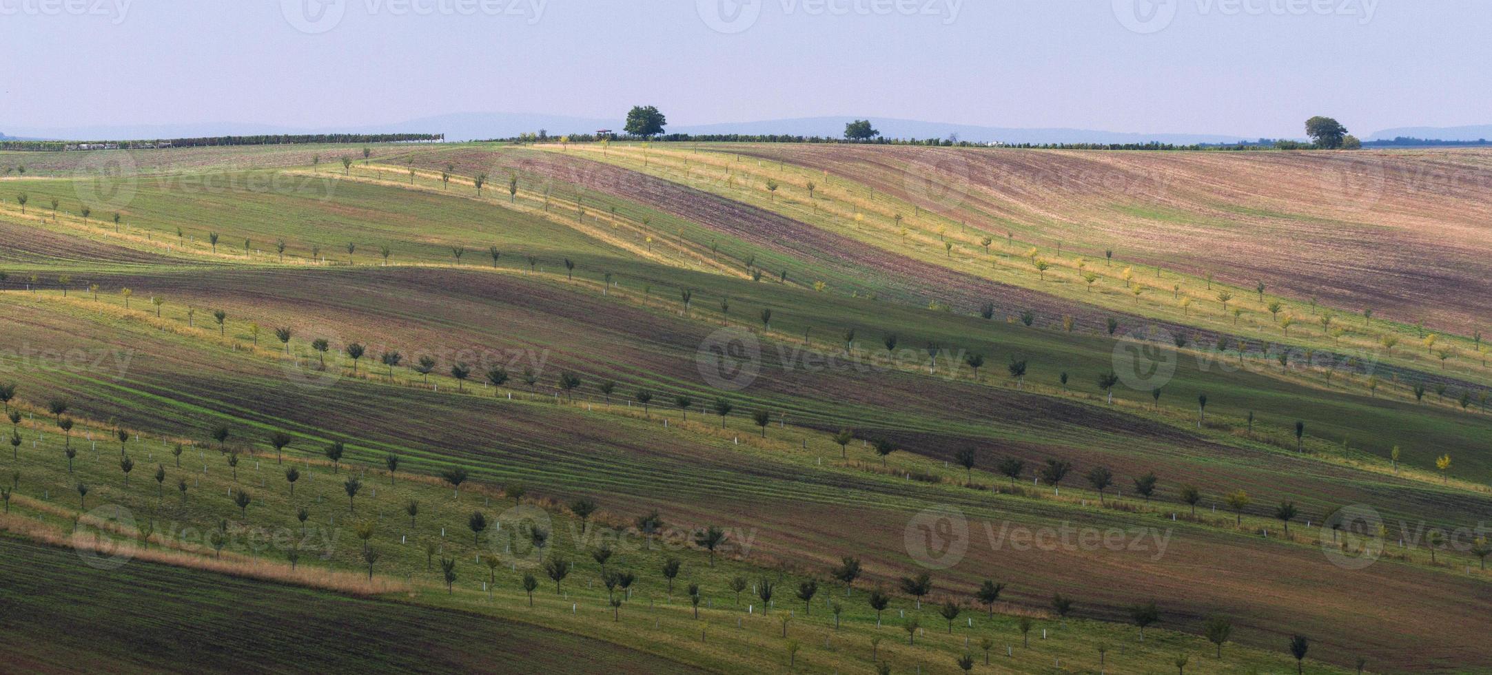 Autumn Landscape  in a Moravian Fields photo