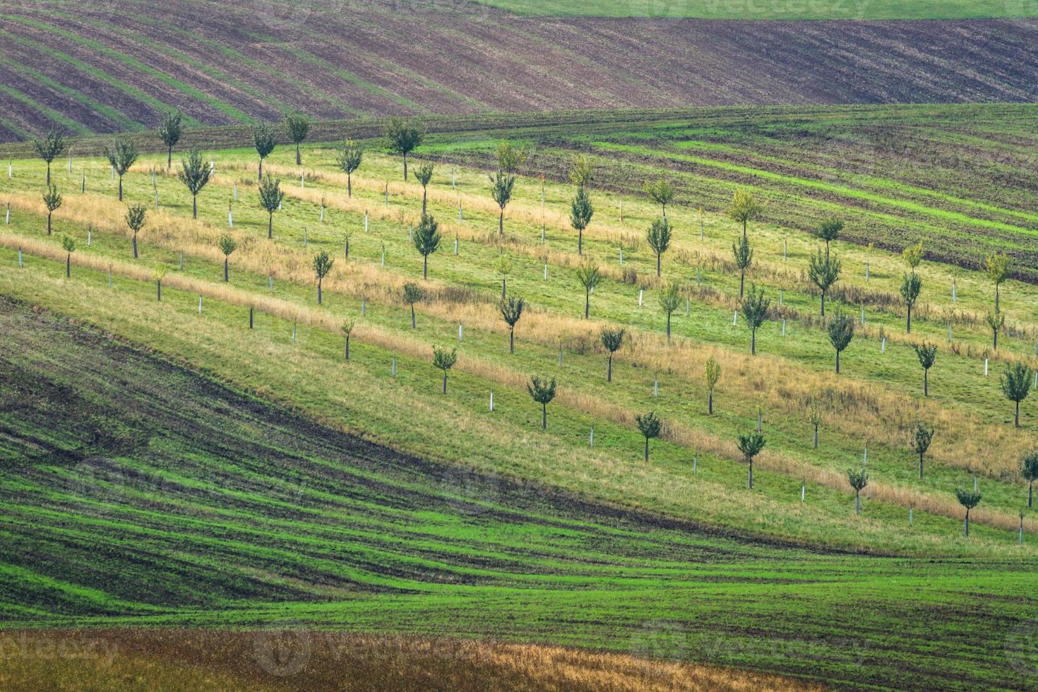 paisaje otoñal en los campos de moravia foto