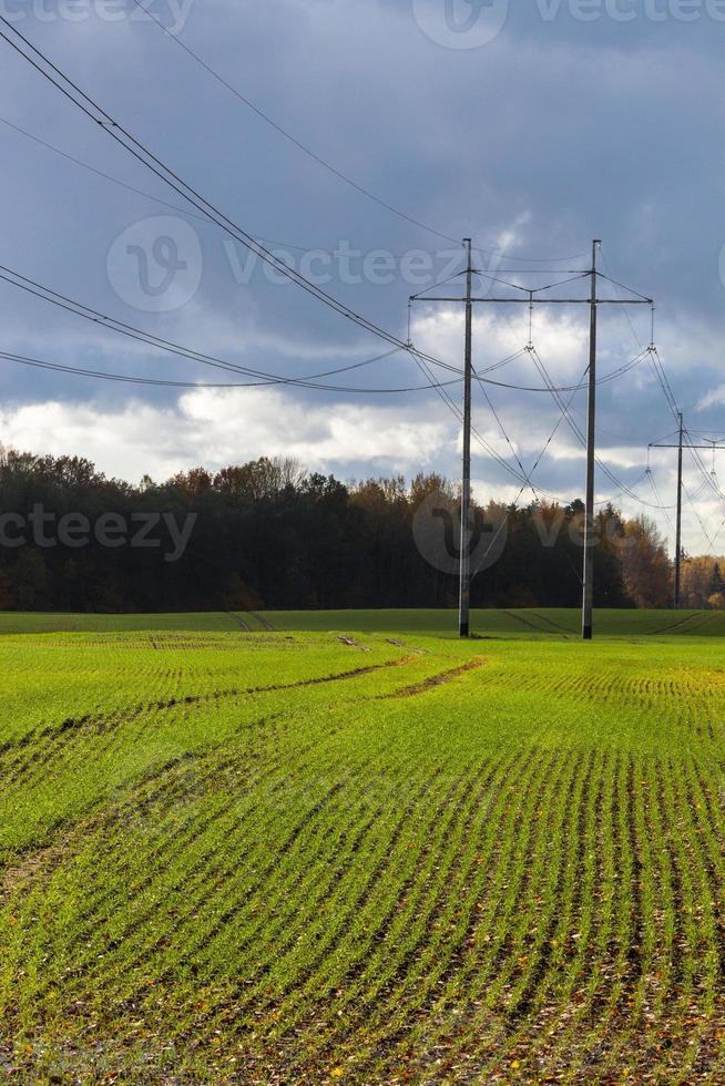 Autumn Landscape With Yellow Leaves on a Sunny Day photo