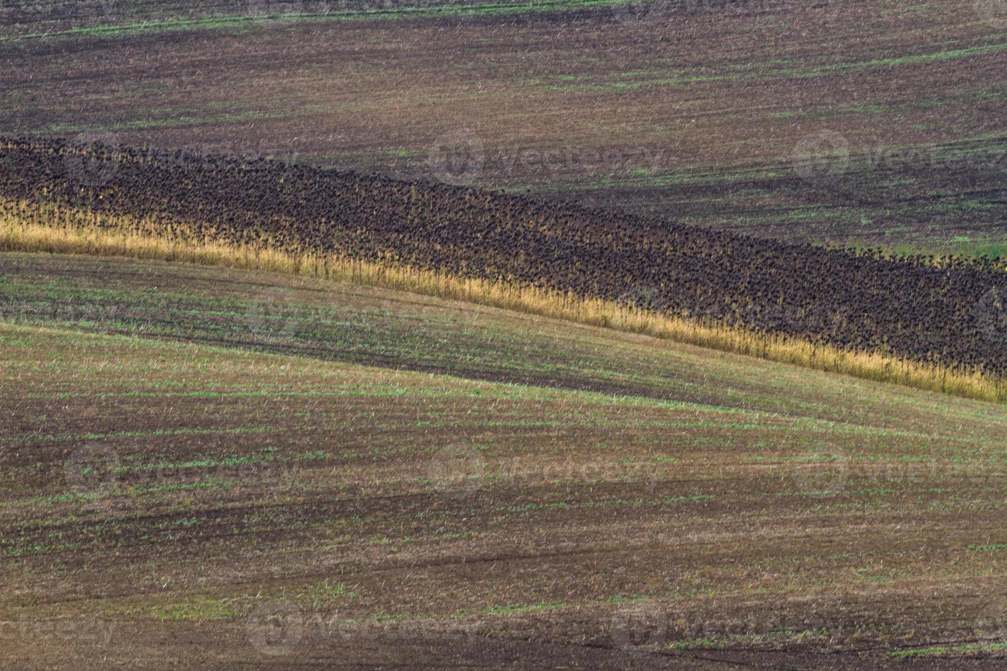 Autumn Landscape  in a Moravian Fields photo