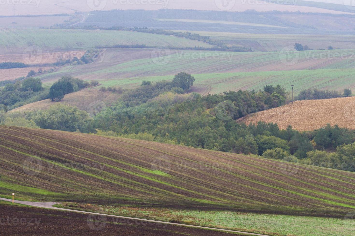Autumn Landscape  in a Moravian Fields photo