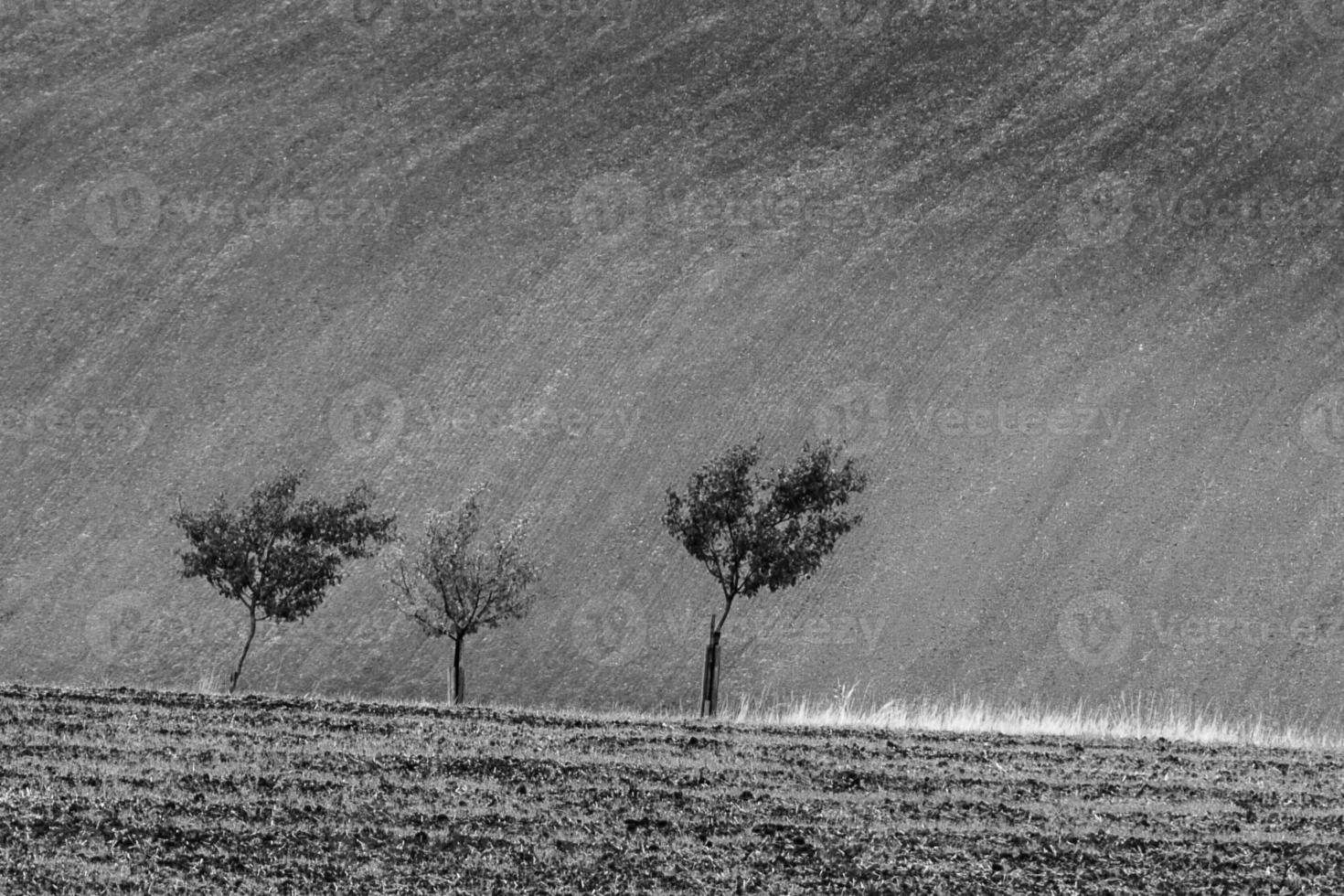 Autumn Landscape  in a Moravian Fields photo