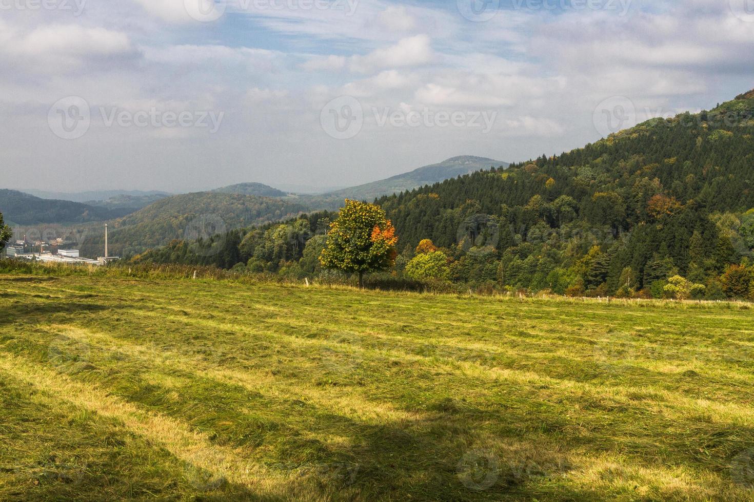 Autumn Landscape With Yellow Leaves on a Sunny Day photo