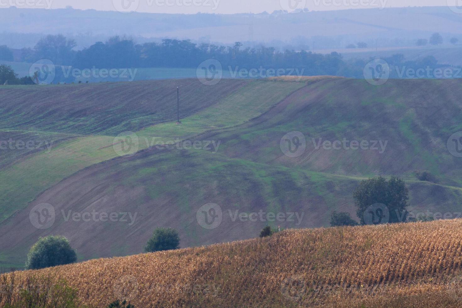 Autumn Landscape  in a Moravian Fields photo
