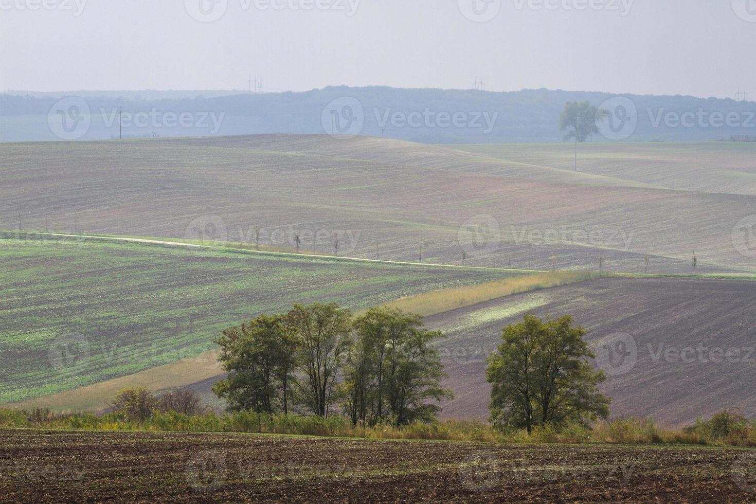 Autumn Landscape  in a Moravian Fields photo