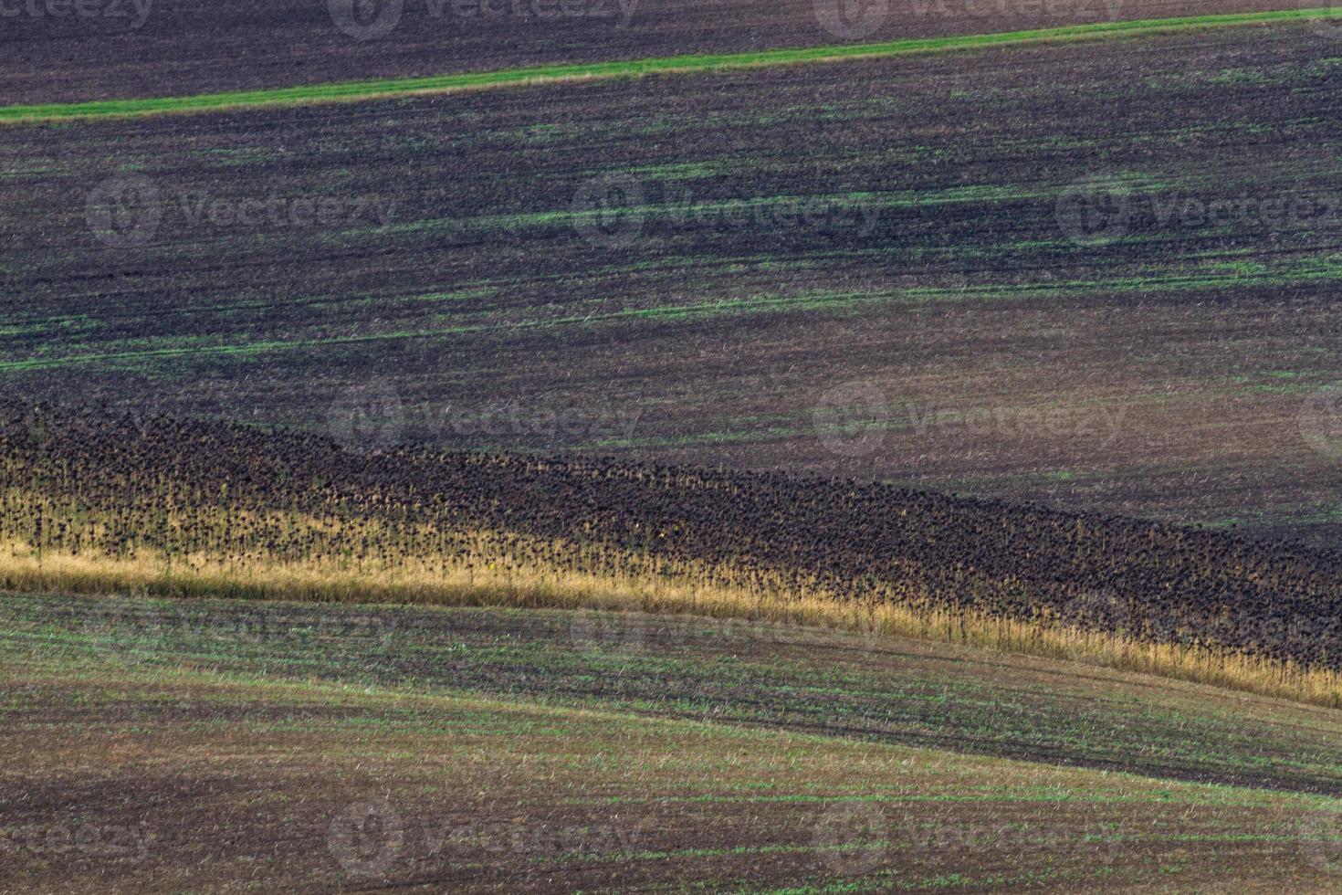 Autumn Landscape  in a Moravian Fields photo