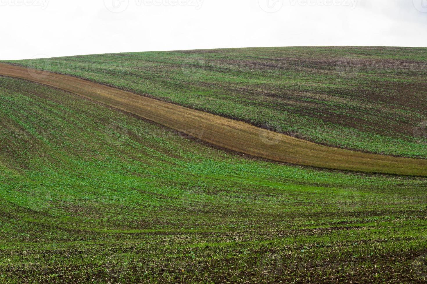 paisaje otoñal en los campos de moravia foto