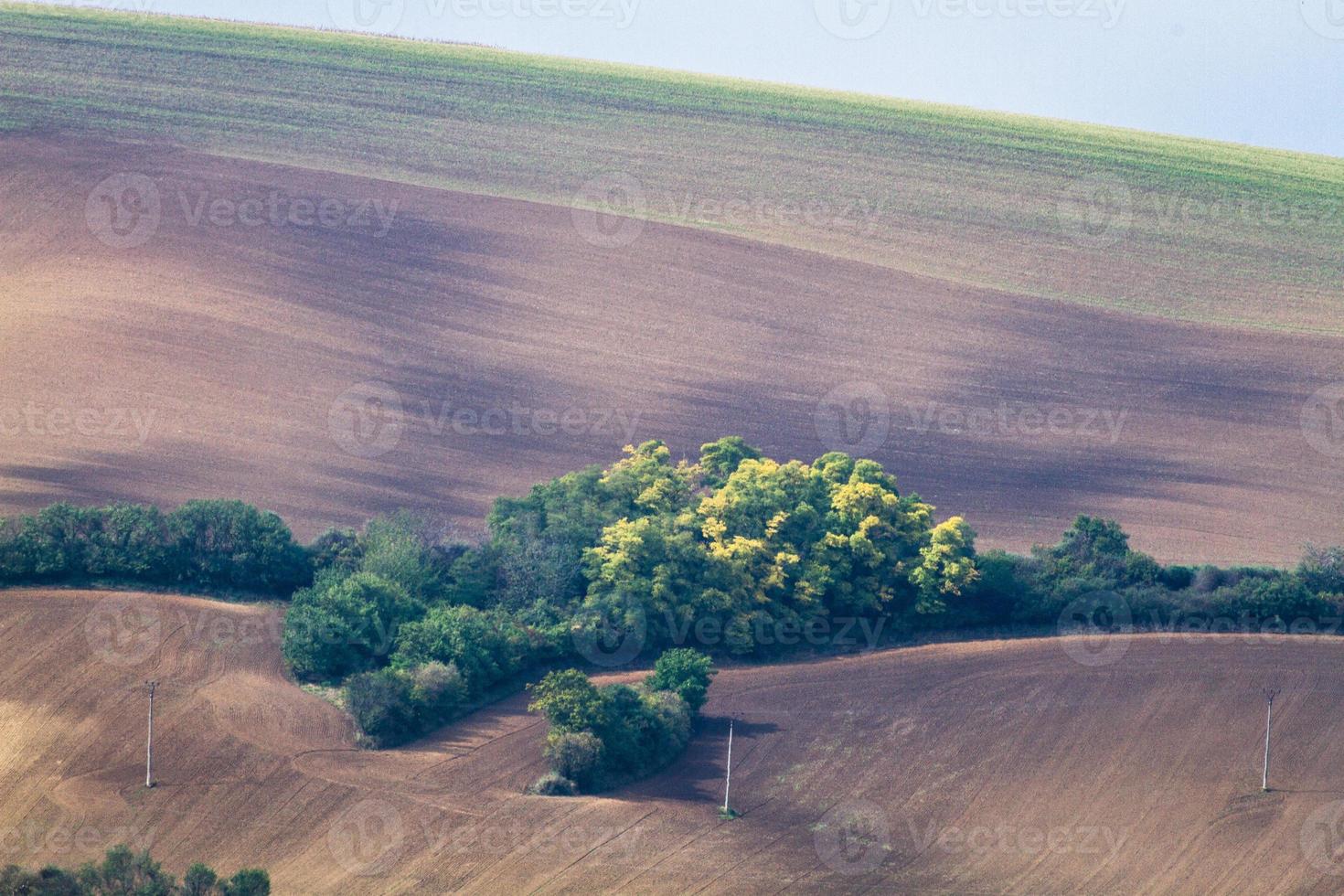 paisaje otoñal en los campos de moravia foto