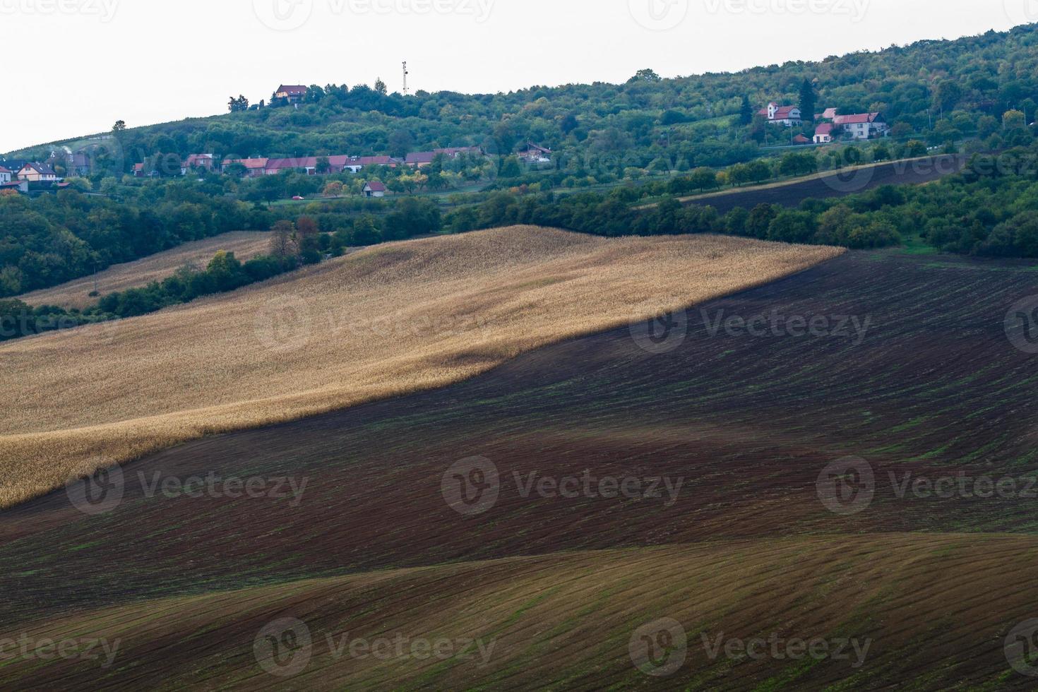 paisaje otoñal en los campos de moravia foto