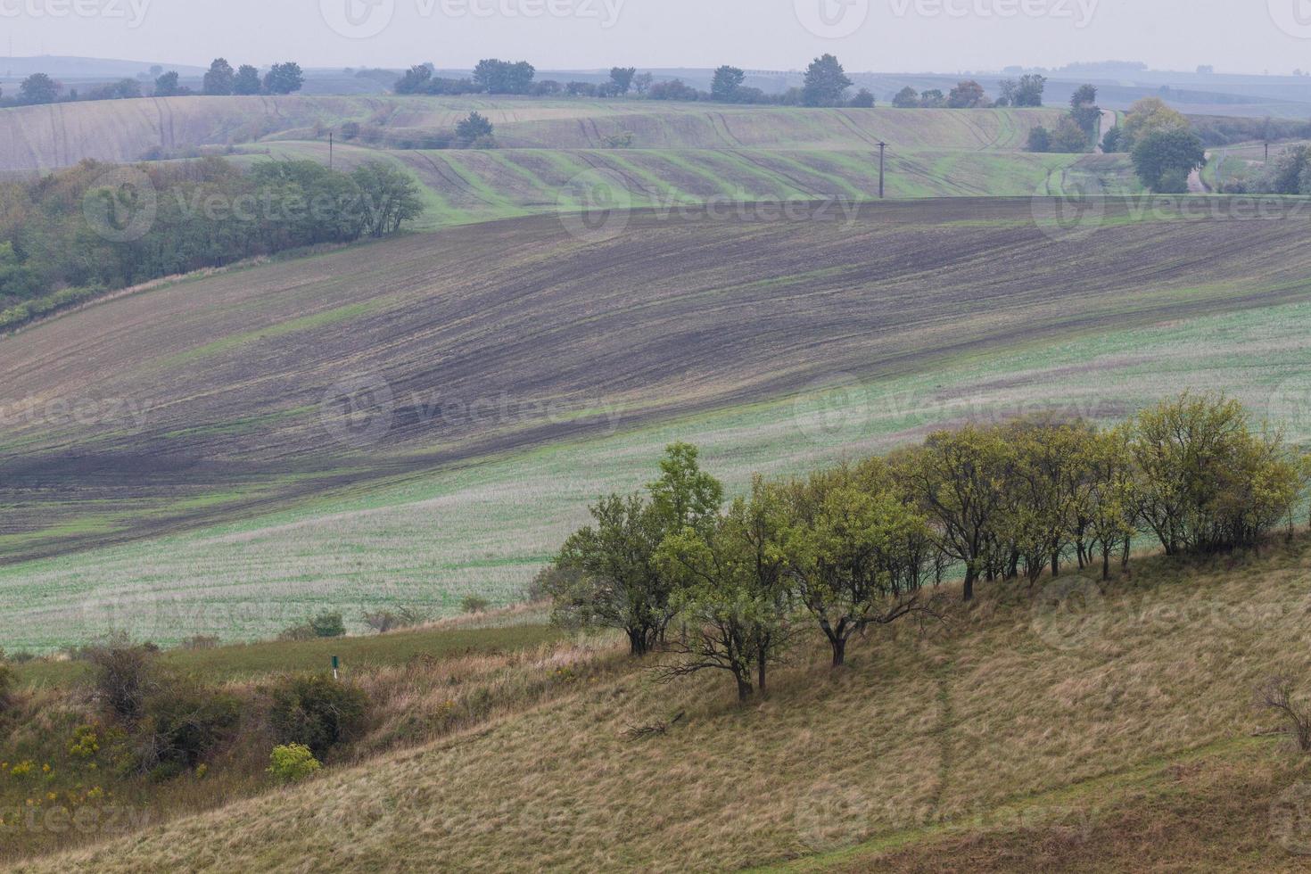 Autumn Landscape  in a Moravian Fields photo