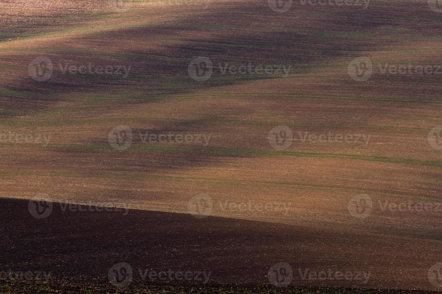 Autumn Landscape  in a Moravian Fields photo