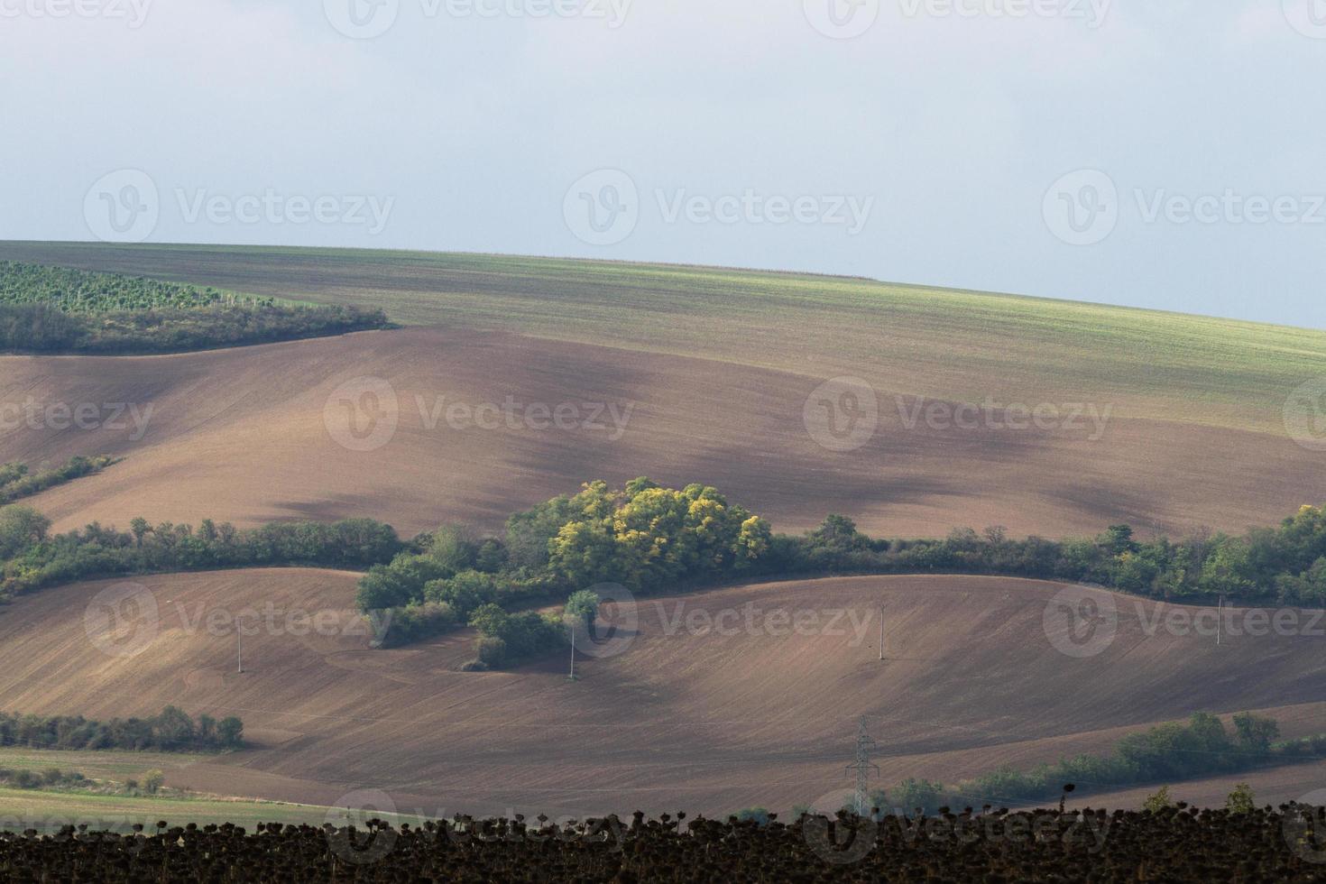 Autumn Landscape  in a Moravian Fields photo