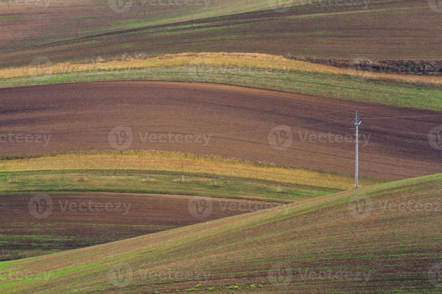 Autumn Landscape  in a Moravian Fields photo