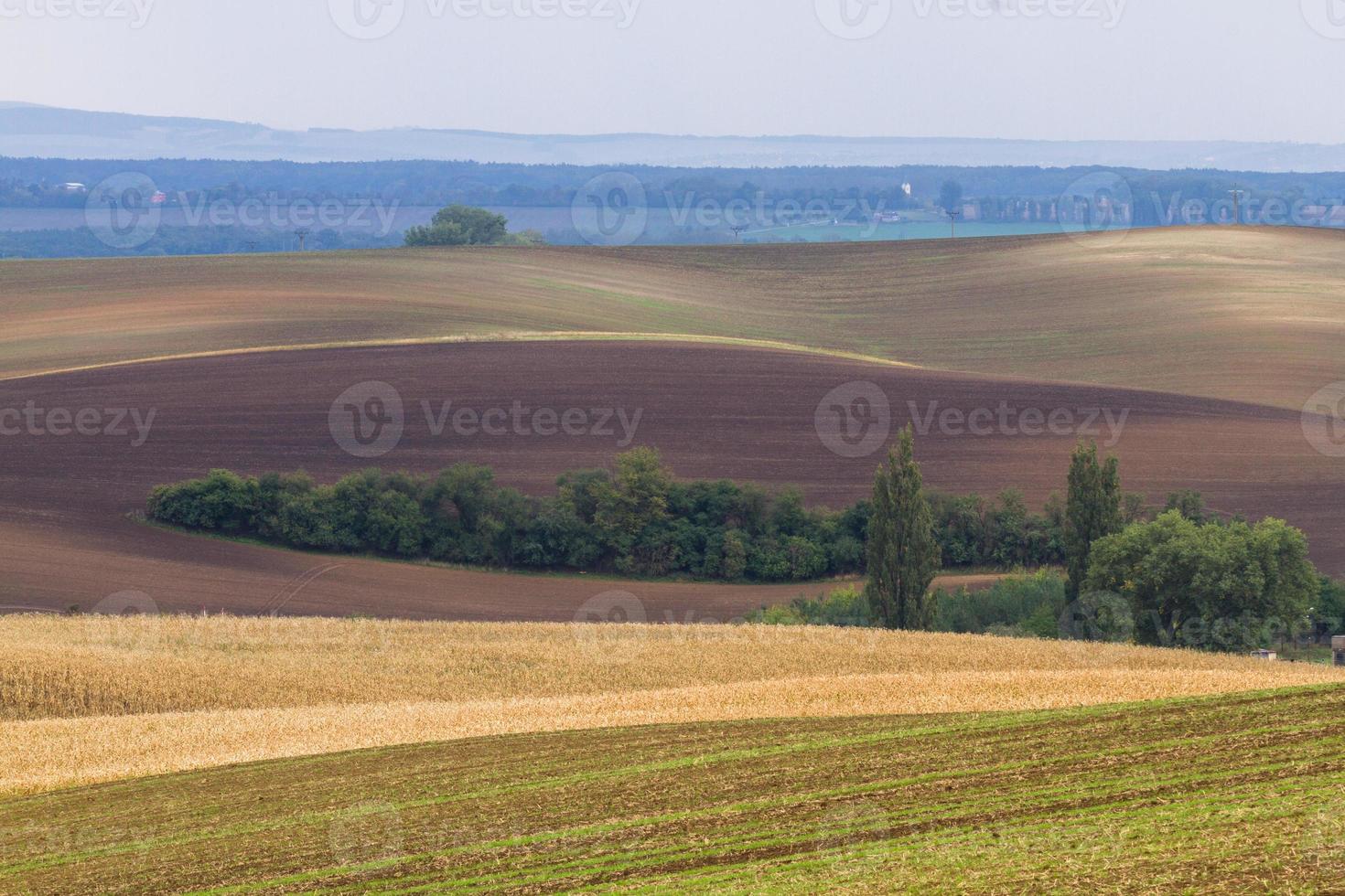 Autumn Landscape  in a Moravian Fields photo