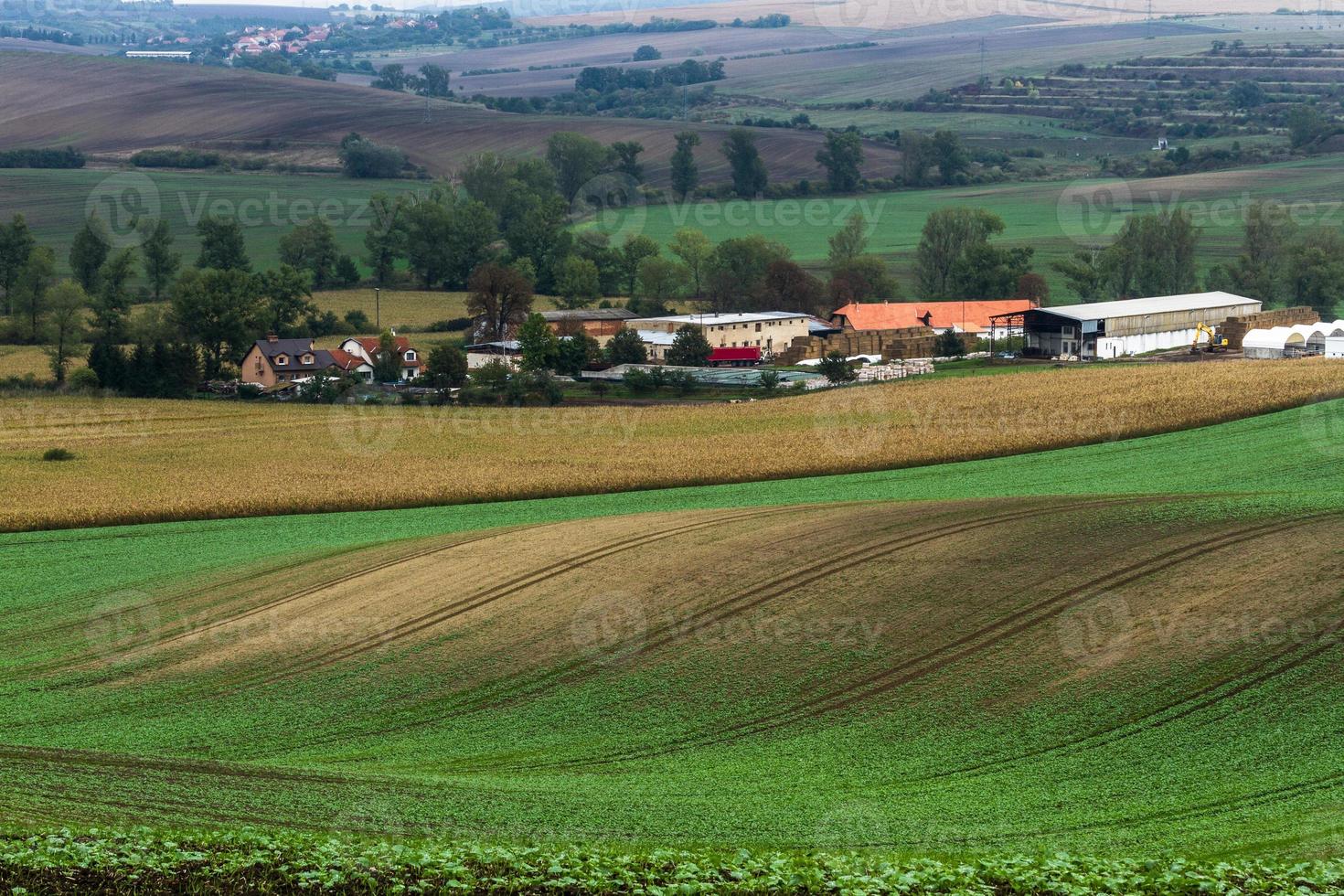 paisaje otoñal en los campos de moravia foto