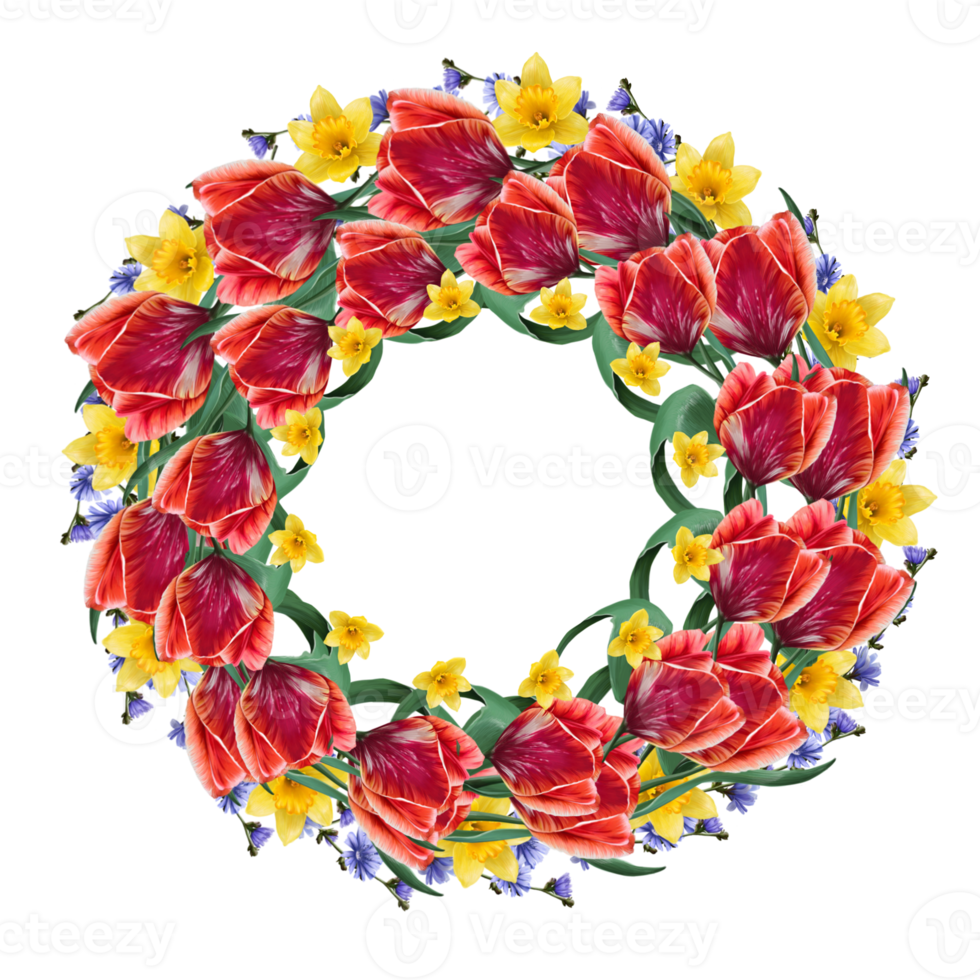 wreath of red tulips and yellow daffodils png