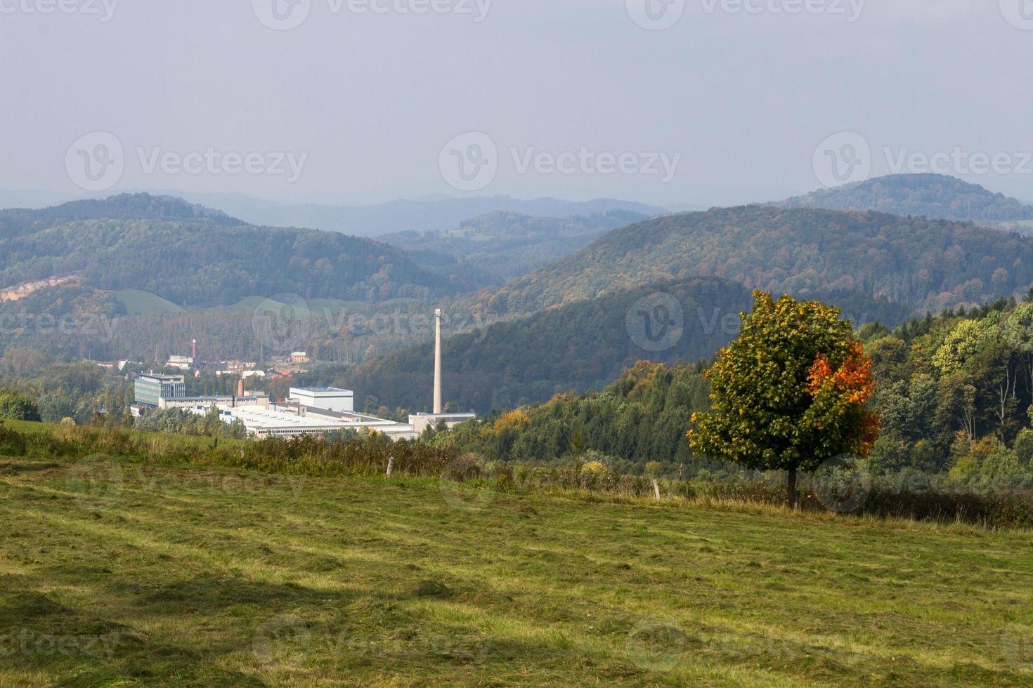 Autumn Landscape With Yellow Leaves on a Sunny Day photo