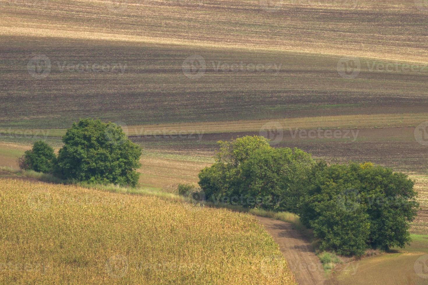 Autumn Landscape  in a Moravian Fields photo