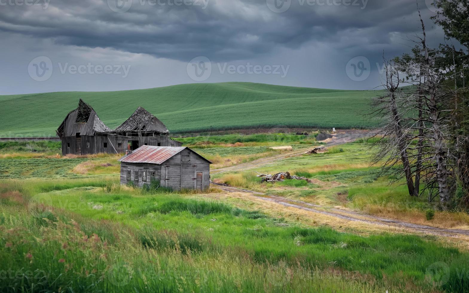 Old abandoned barn in rolling hills of Palouse in Washington state photo