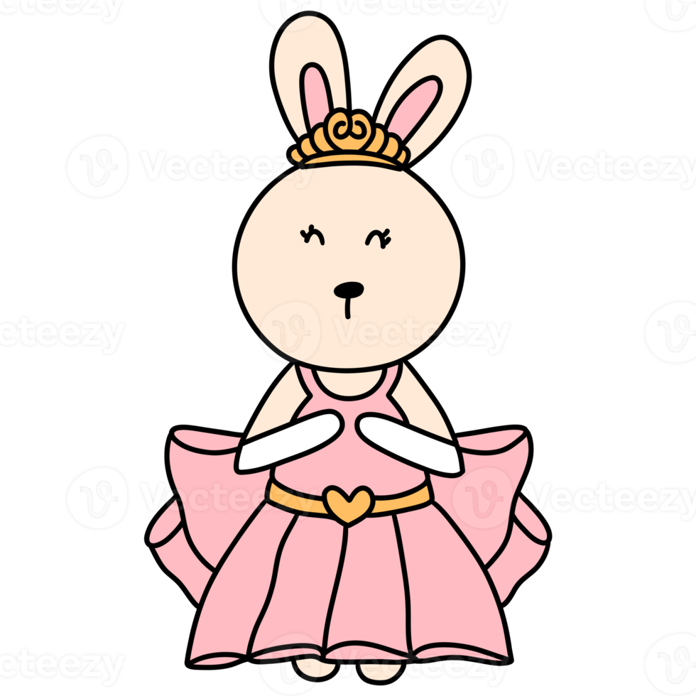 Rabbit character in cute costume, Rabbit Cartoon animal character, hand drawn illustration png