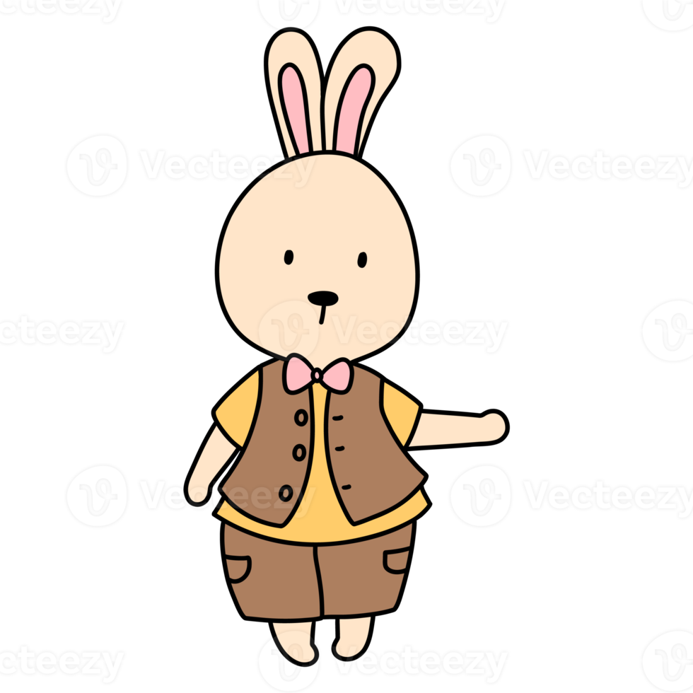 Rabbit character in cute costume, Rabbit Cartoon animal character, hand drawn illustration png