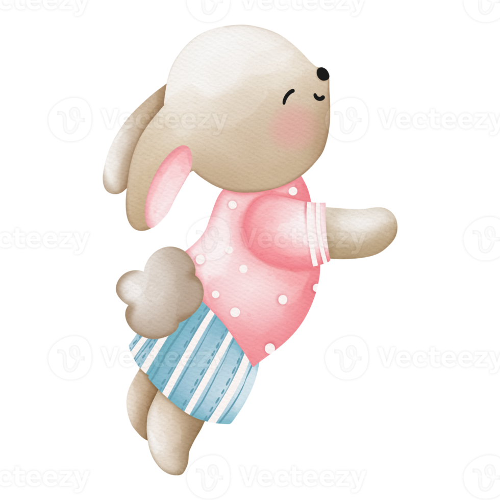 Rabbit character in cute costume, Rabbit Cartoon animal character, Watercolor hand drawn png