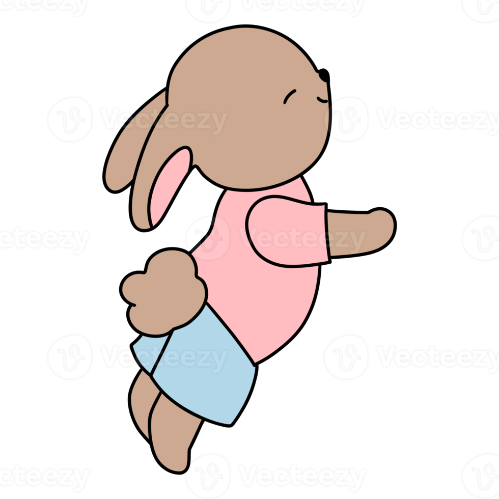 Rabbit character in cute costume, Rabbit Cartoon animal character, hand drawn illustration png