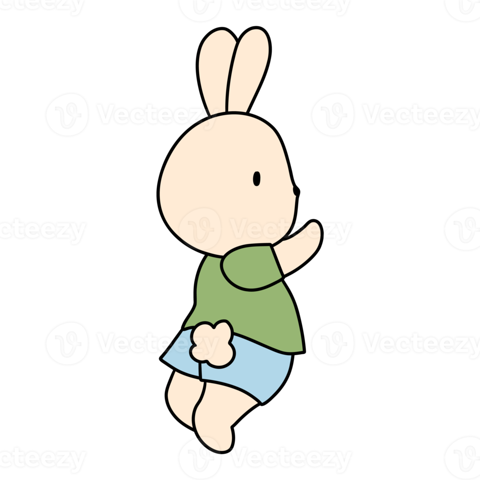 Rabbit character in cute costume, Rabbit Cartoon animal character, hand drawn illustration png