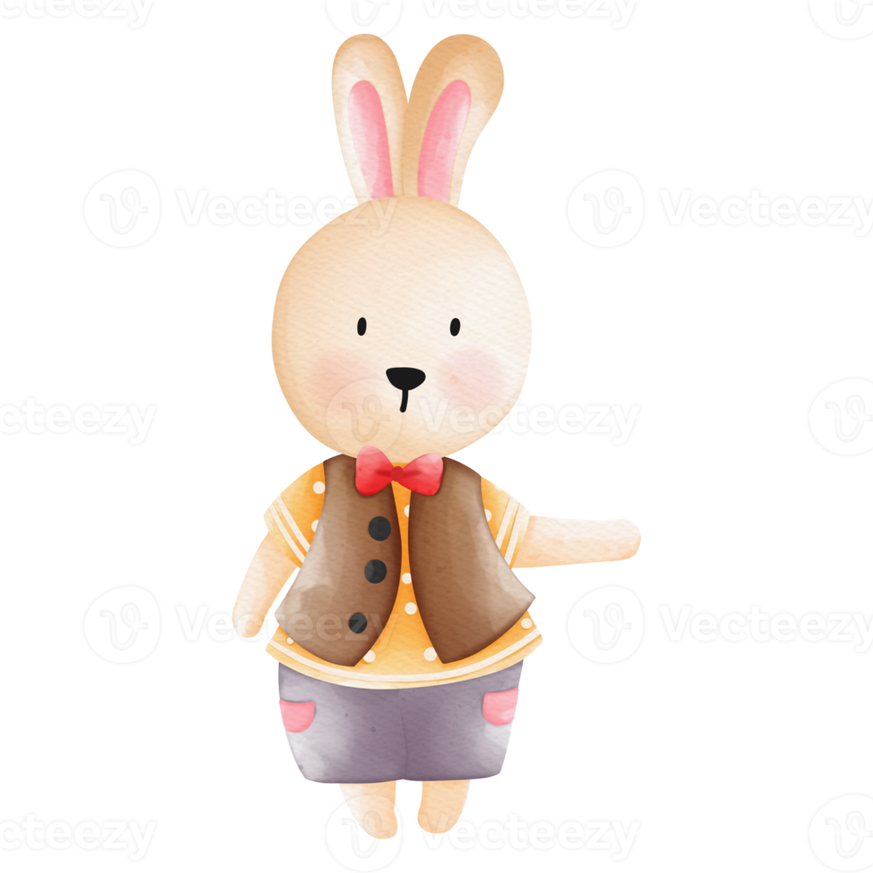 Rabbit character in cute costume, Rabbit Cartoon animal character, Watercolor hand drawn png