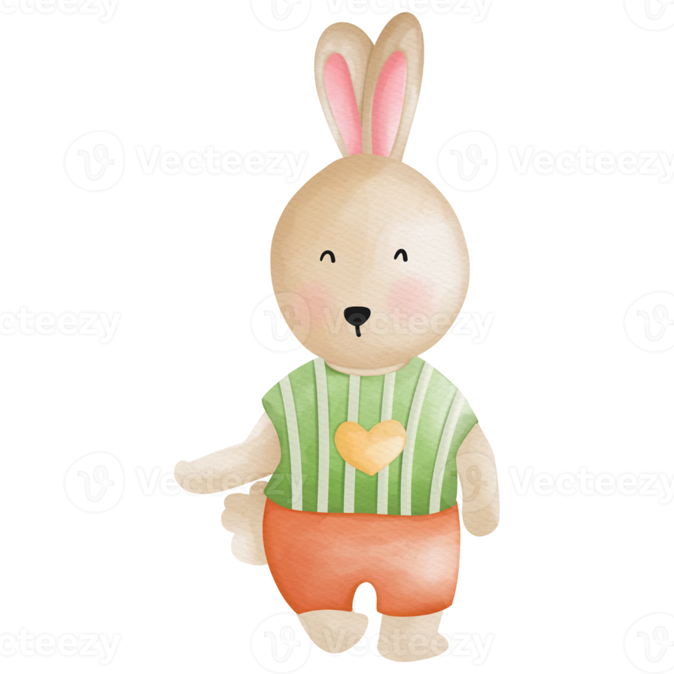 Rabbit character in cute costume, Rabbit Cartoon animal character, Watercolor hand drawn png
