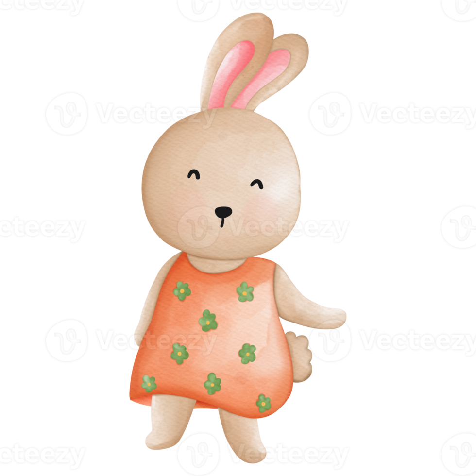 Rabbit character in cute costume, Rabbit Cartoon animal character, Watercolor hand drawn png