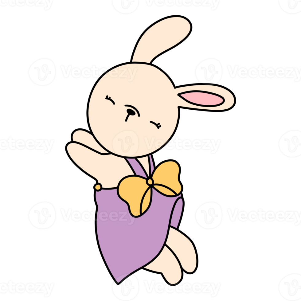 coniglio personaggio nel carino costume, coniglio cartone animato animale carattere, mano disegnato illustrazione png