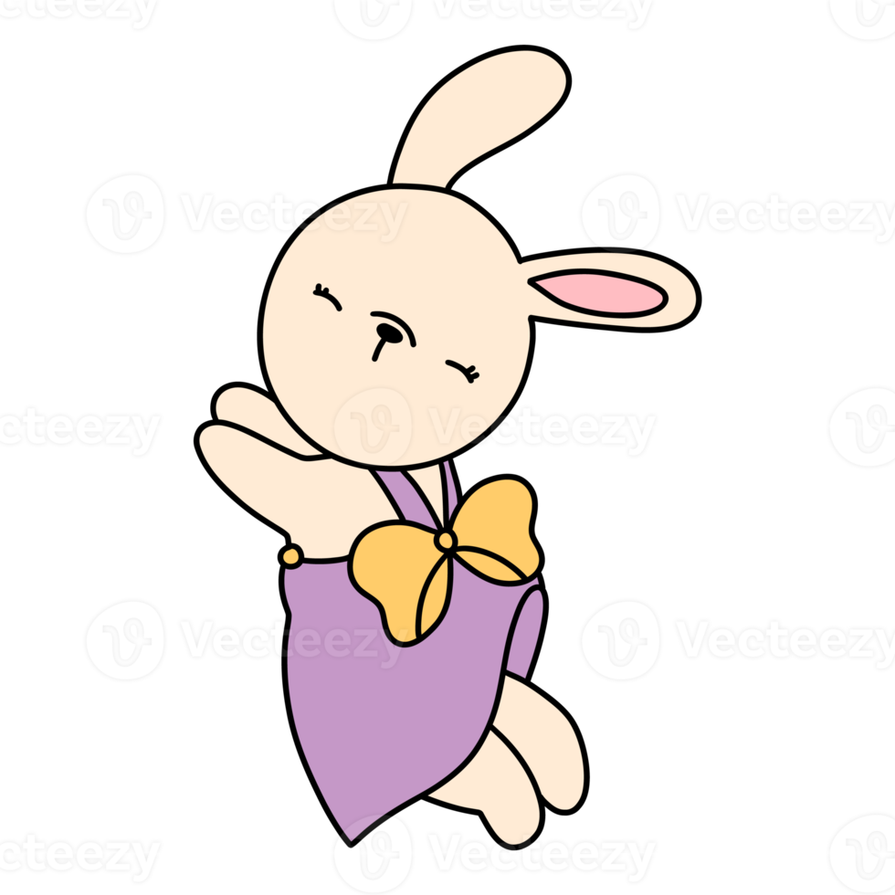 Rabbit character in cute costume, Rabbit Cartoon animal character, hand drawn illustration png