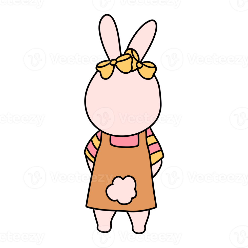 Rabbit character in cute costume, Rabbit Cartoon animal character, hand drawn illustration png