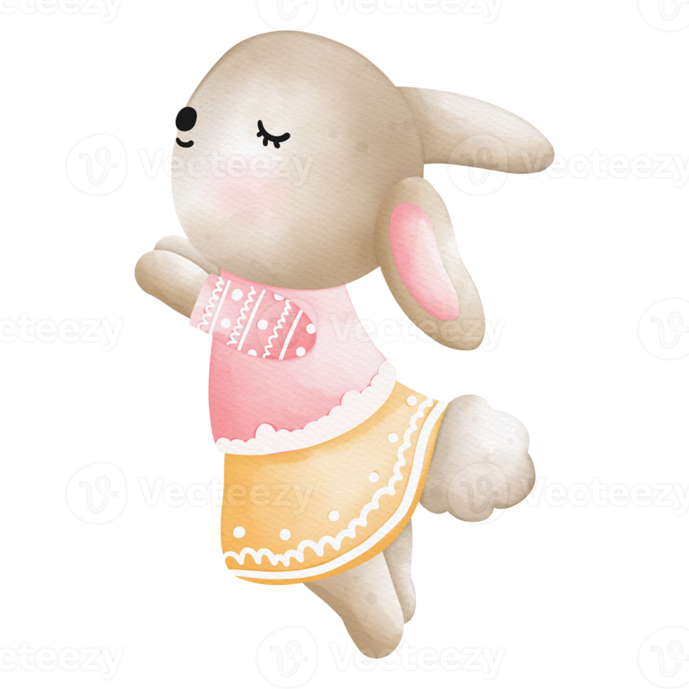 Rabbit character in cute costume, Rabbit Cartoon animal character, Watercolor hand drawn png