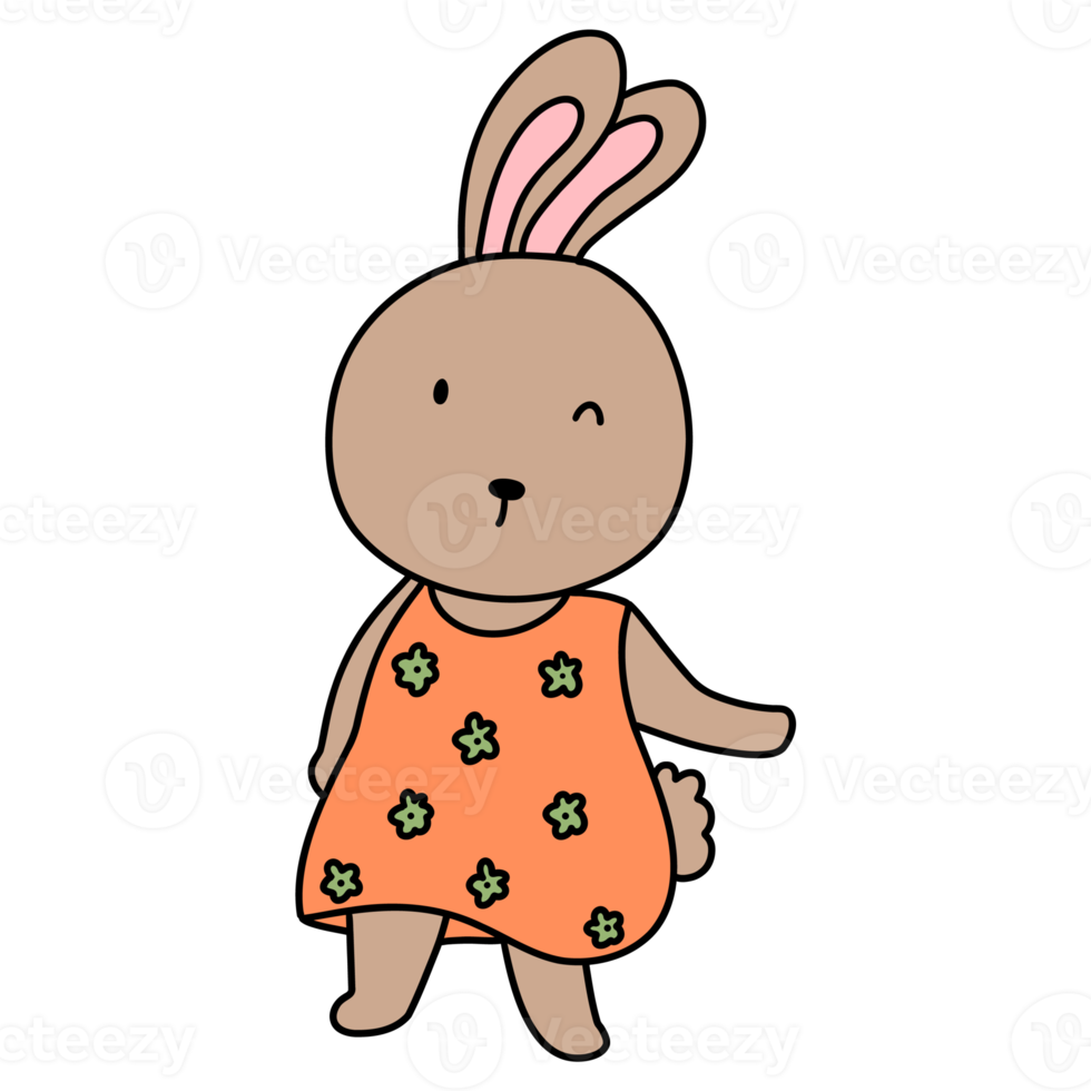 Rabbit character in cute costume, Rabbit Cartoon animal character, hand drawn illustration png