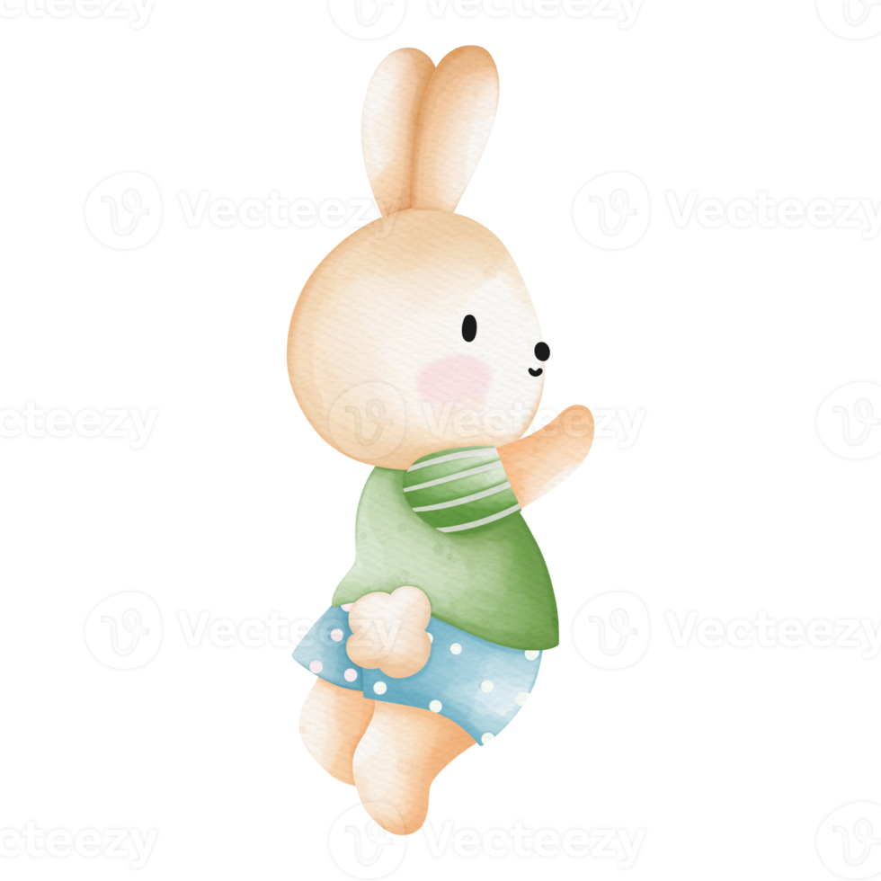 Rabbit character in cute costume, Rabbit Cartoon animal character, Watercolor hand drawn png