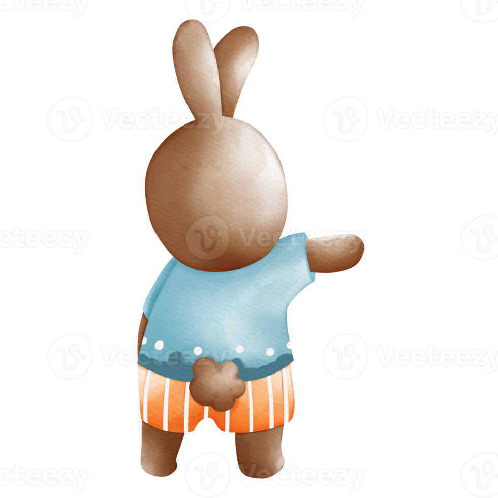 Rabbit character in cute costume, Rabbit Cartoon animal character, Watercolor hand drawn png
