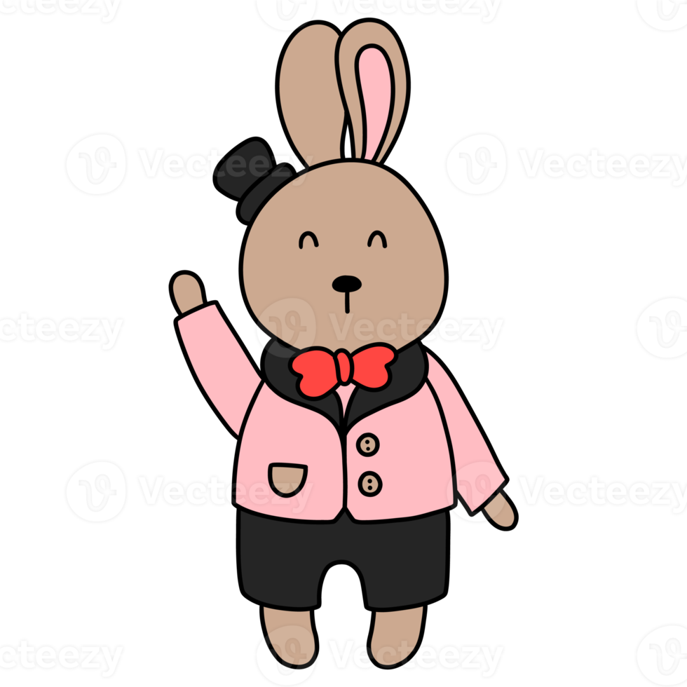 Rabbit character in cute costume, Rabbit Cartoon animal character, hand drawn illustration png