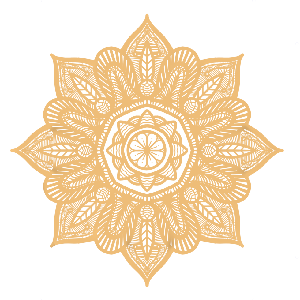 Mandala Abstract Flower Design png