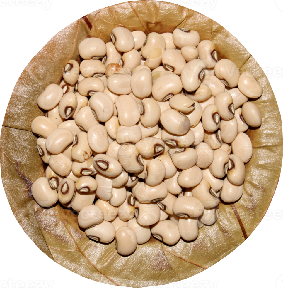 Black Eyed Peas auf einem Sal Tree Blattteller. png