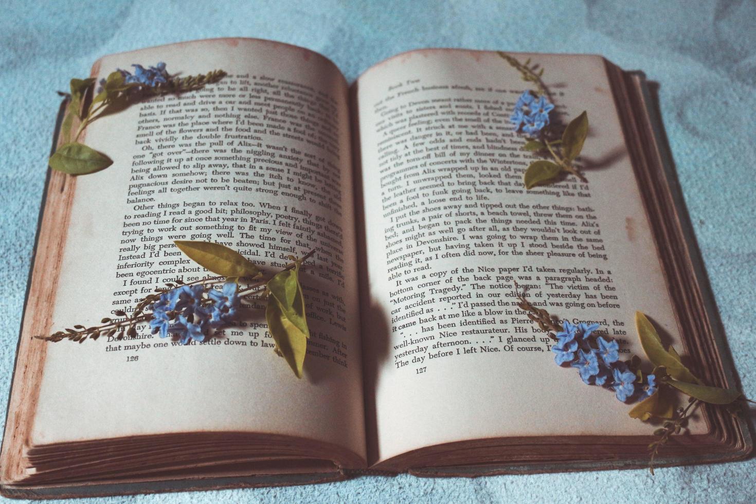 Tiny Purple Flowers In Old Vintage Book photo