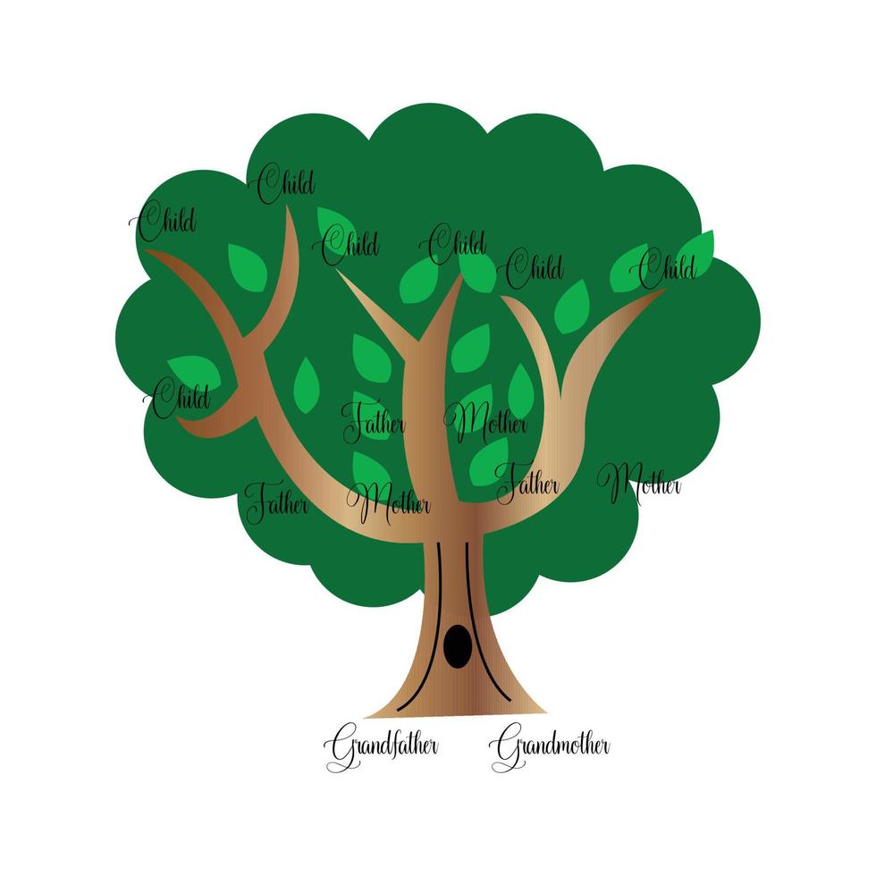 árbol genealógico, señal, aislado, blanco, plano de fondo vector