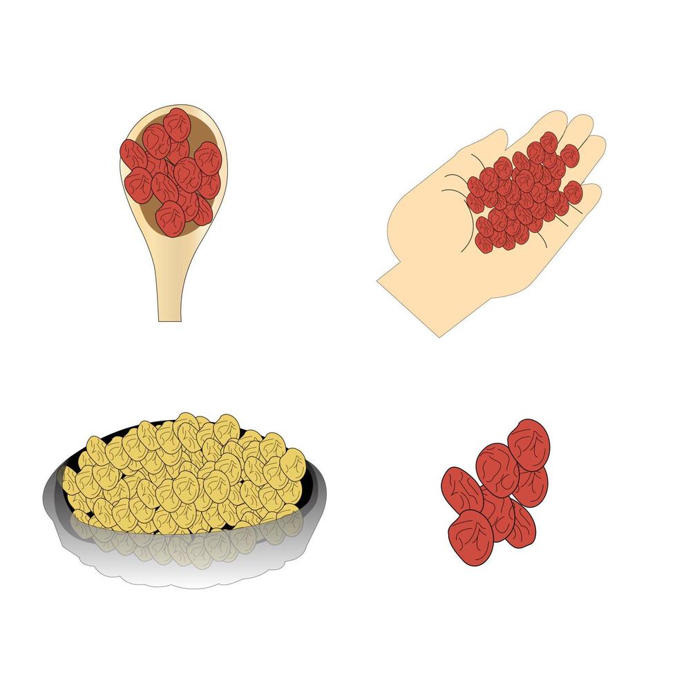 raisins sign isolated on white background vector