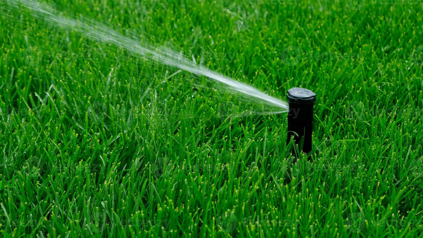 Automatic garden irrigation system watering lawn. Savings of water from sprinkler irrigation system with adjustable head. Automation for lawn irrigation, gardening, soccer fields or golf courses. photo