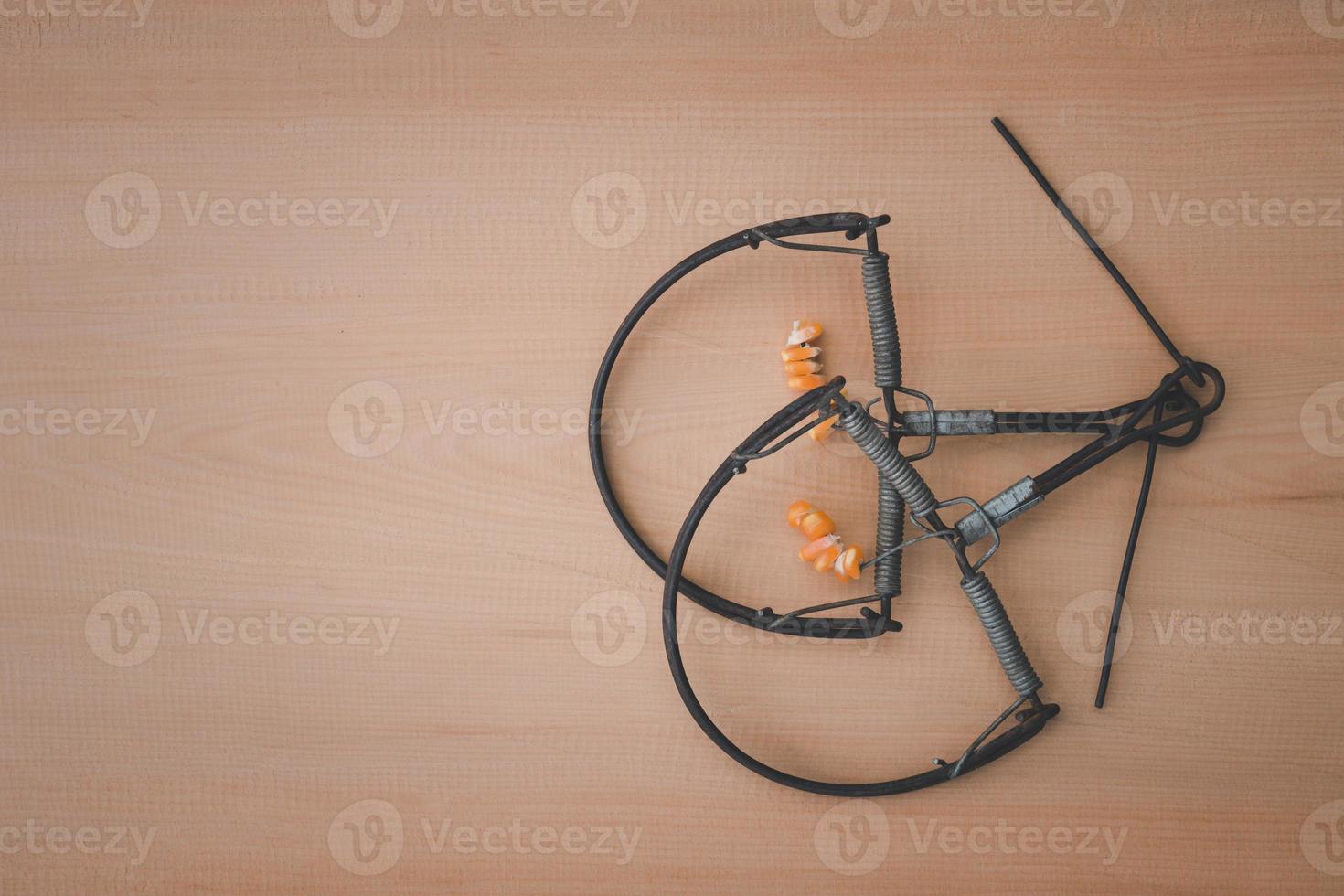 Top view of trap on the wooden background photo